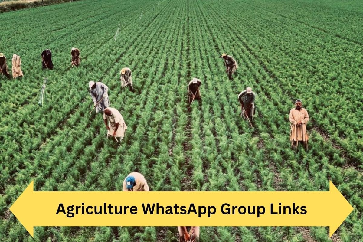 Agriculture WhatsApp Group Links
