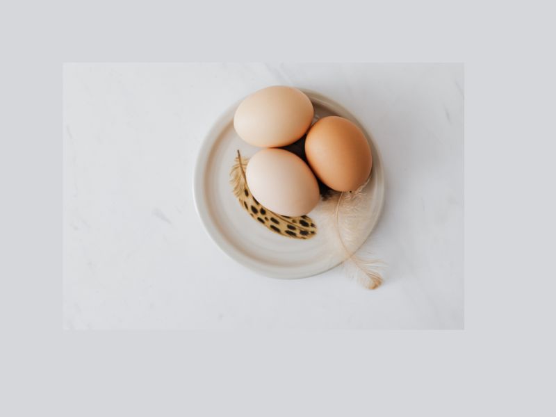 Egg Rate WhatsApp Group Link