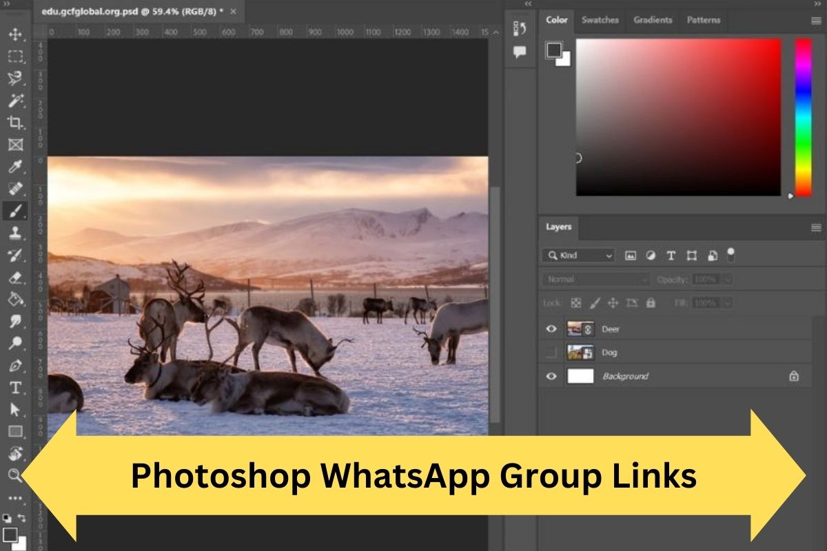 Photoshop WhatsApp Group Links